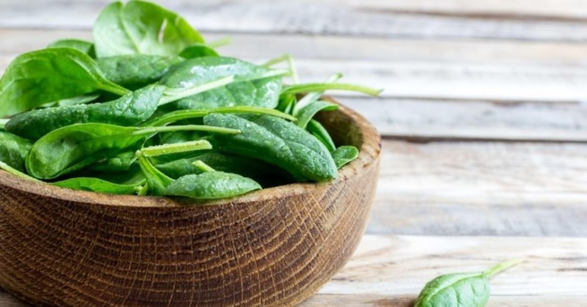 Công Dụng Của Rau Chân Vịt - Thực Phẩm Bổ Dưỡng Đang Gây Sốt Trong Chế Độ Ăn Uống Lành Mạnh 3 Công Dụng Của Rau Chân Vịt - Thực Phẩm Bổ Dưỡng Đang Gây Sốt Trong Chế Độ Ăn Uống Lành Mạnh