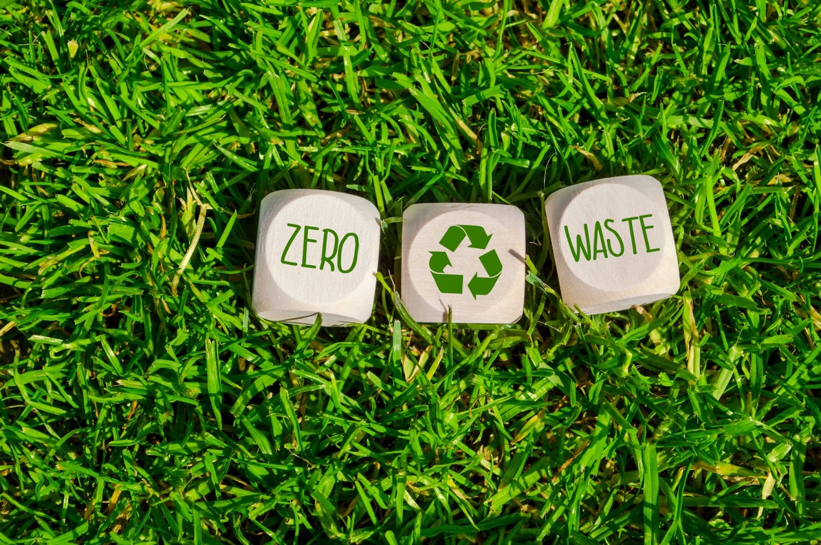 Zero Waste là gì - Xu hướng sống xanh hướng tới sự bền vững và trách nhiệm môi trường